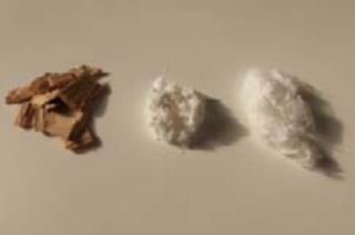 Fibras celulósicas de origen forestal en la industria textil