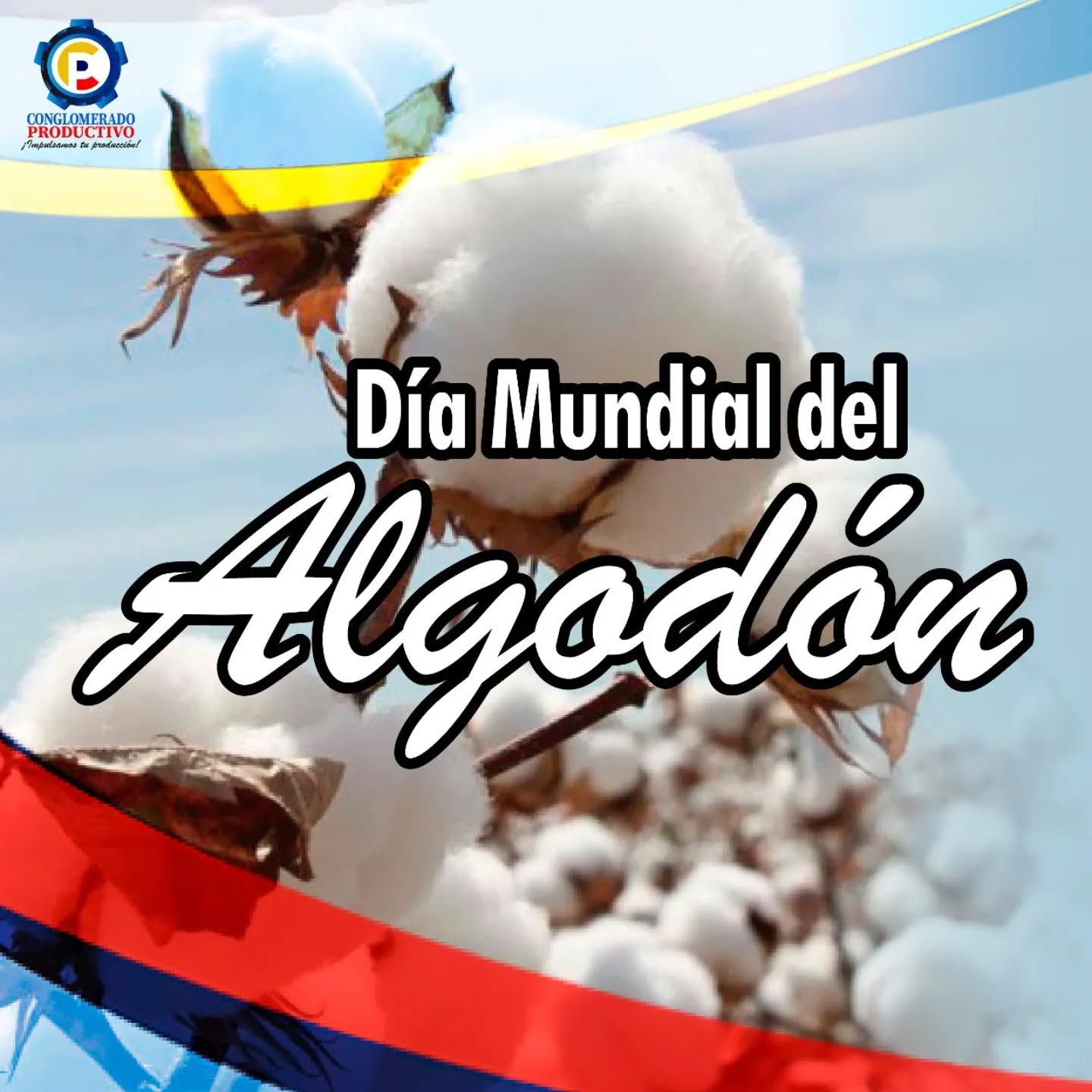 Día mundial del algodón